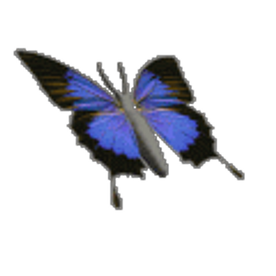 蛙飛び込む井戸の中 Chesttube Twitter 蛙飛び込む井戸の中 Chesttube Twitter