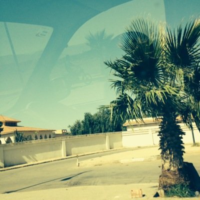 samsamobi's profile picture. 