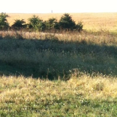 StevenKMetzger's profile picture. Tempe, AZ