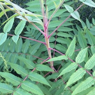 dalyssaxo's profile picture. i got rich selling hope to the hopeless