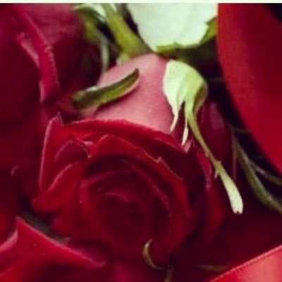 fjgd3578's profile picture. انا فتاه قصيره تعشق الرومنسيه بجنون