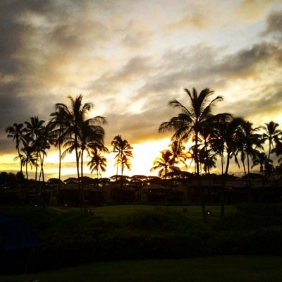 tjadams3's profile picture. 