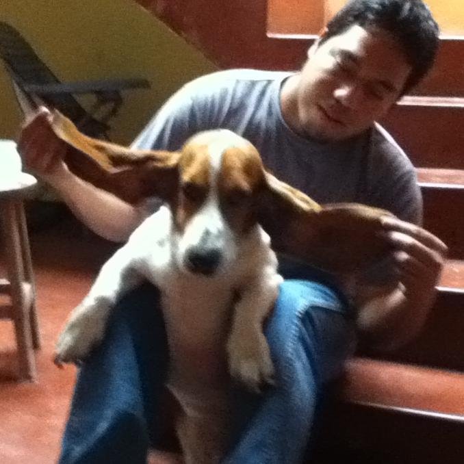 4leXGR's profile picture. 