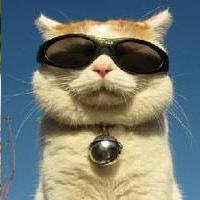 Machine Learning Scientist, Statistician，处女座，猴子请来的豆比