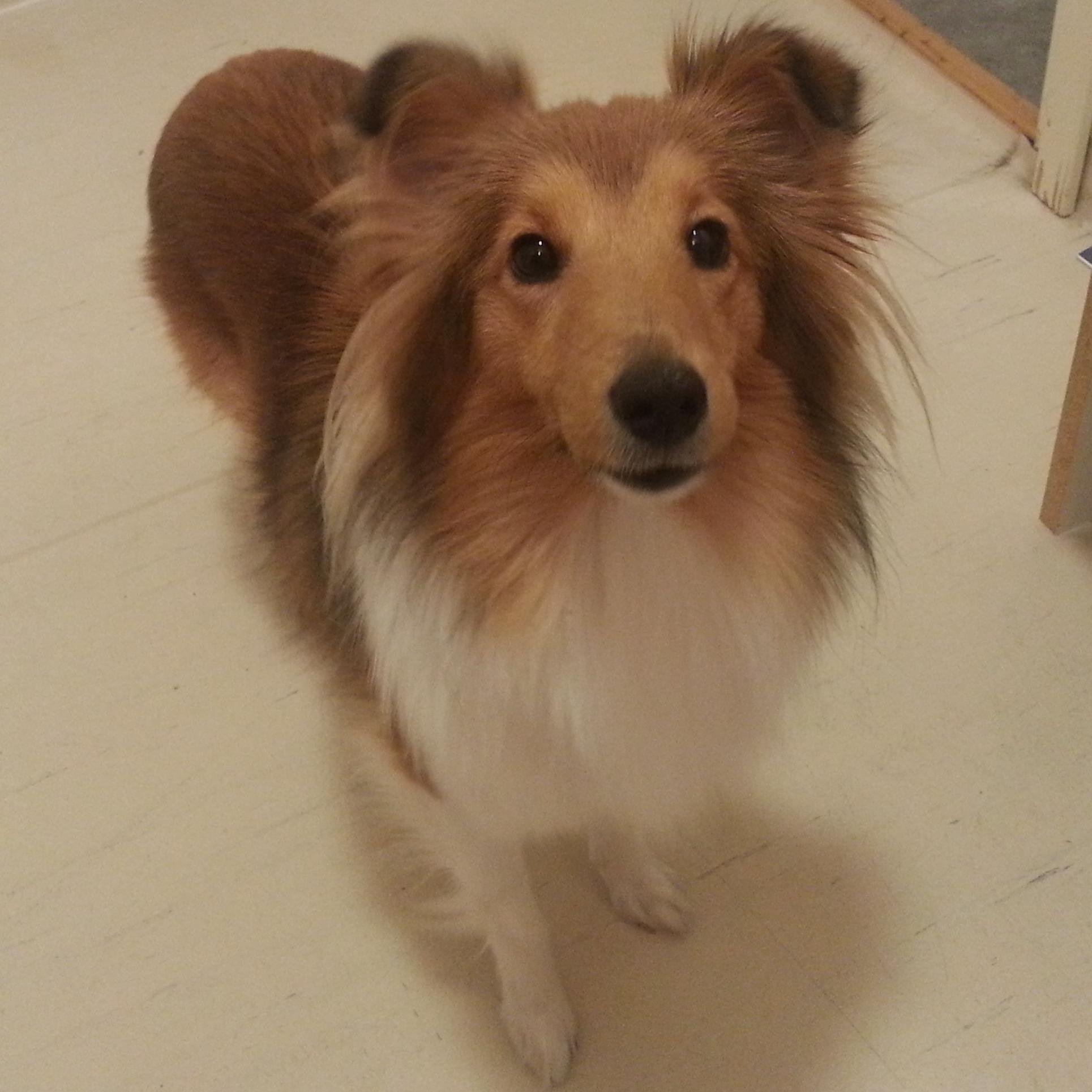 MasterCrowther's profile picture. 