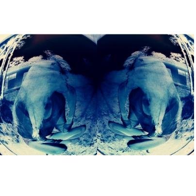 AnastasiaTR5's profile picture. Suroboyo rek..