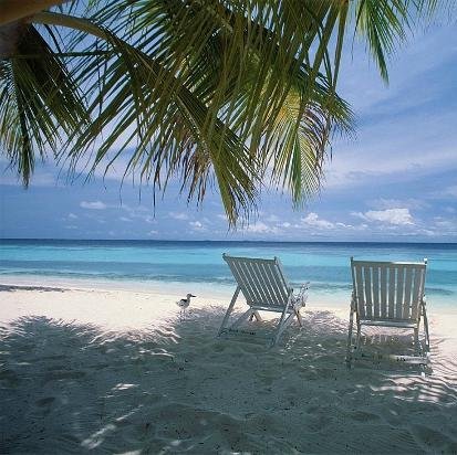 islandmanagemnt's profile picture. Music Artist Management