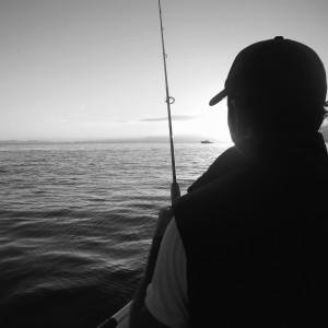 allforfishing's profile picture. Fishing News