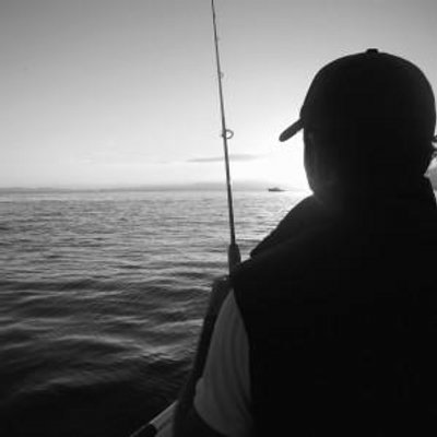 daiwa mini system minispin ultralight spinning reel and rod combo