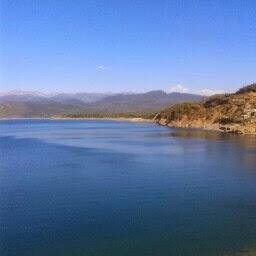 memarchantm's profile picture. 