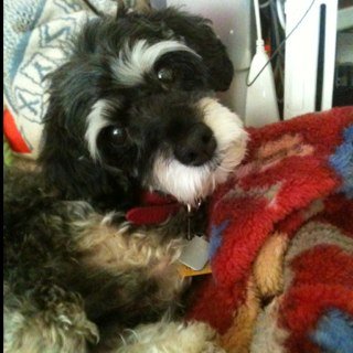 jacmast's profile picture. 