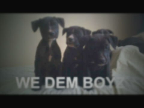 LerKill15's profile picture. Follow if you want to be entertained!!