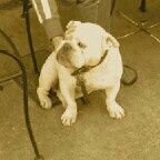 DBMutz's profile picture. 