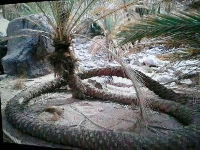 ‏‏حاور بعلم..أو أصمت بحلم.. 
قال عبد الكريم بن أبي أمية: لأن أرد رجلاً عن رأي سيء؛ أحب إلي من اعتكاف شهر [البدع لابن وضاحٍ]
