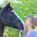 Debbie Wyman - @painthorsefvr - Twitter