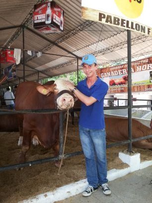 ESTRADAMARCOS's profile picture. Logística