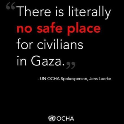 olivepalestine's profile picture. 