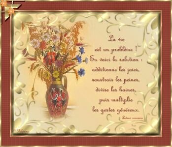 《La vie est un problème! En voici la solution: additionne les joies, soustrais les peines, divise les haines, puis multiplie les gestes généreux.》..........