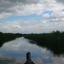 Sandy Altman - @sandyplaya78 - Twitter