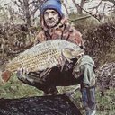 Stephen John Green - @carpmansteve - Twitter