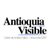 antvisible's profile image