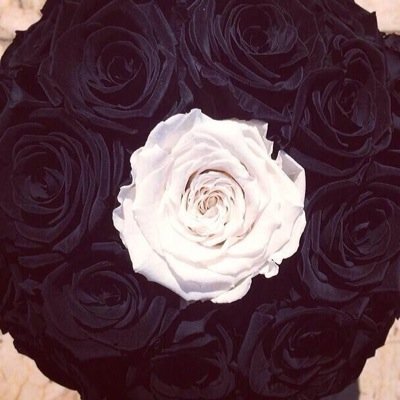 احببتك ، ف هل احببتني ب قدر حبي لك؟❤️