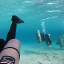 tamara may - @divelikeaninja - Twitter