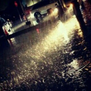 shahrazad_e's profile picture. 