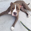 Art Castle - @arthurfcastle - Twitter