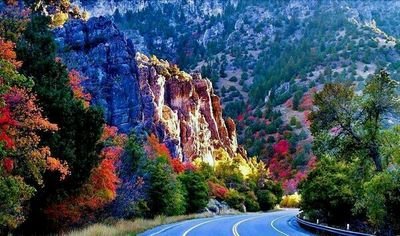 april00988's profile picture. The way to paradise