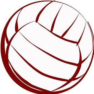 DLHSVolleyball's profile picture. 