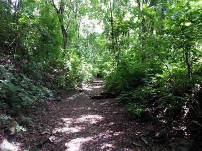 cisturiz's profile picture. VENEZOLANO LIBRE