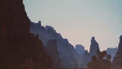 MusaaedM's profile picture. 