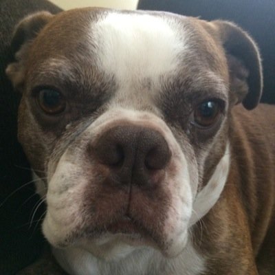 ItsLabs_'s profile picture. Co leader of @RarityRising. Swag