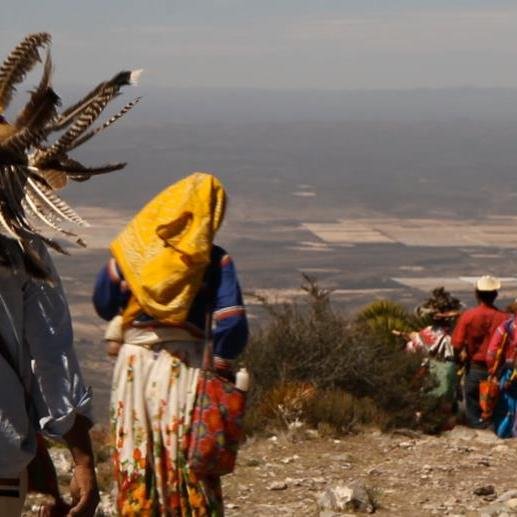 Amo profundamente las tradiciones de nuestro país,el campo,el mar y el arte.