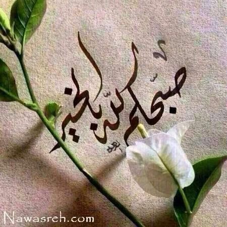 121212_13010's profile picture. آلَلَهّـمً لَکْ آلَحًمًدٍ وٌآلَشُـکْر حًتٌـى تٌـرضًـآ وٌلَکْ آلَحًمًدٍ آذِآ رضًـيِتٌـ وٌلَکْ آلَحًمًدٍ بًعٌدٍ آلَرضًـآ.