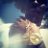 DollaPeso's profile image