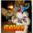 MadMohawkFilms's profile image