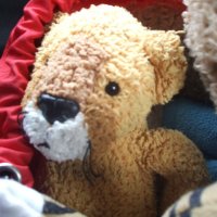 harodeb (@harodeb) 's Twitter Profile