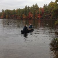 DollyLambdin (@dollylambdin) 's Twitter Profile Photo