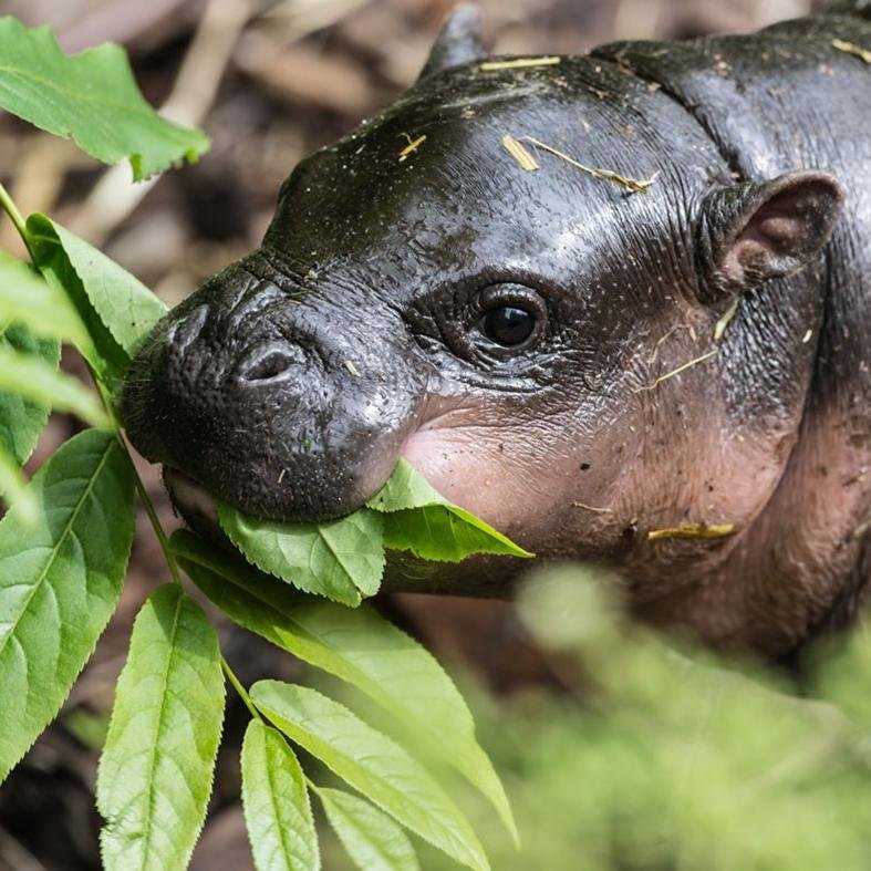 BlameWizards's profile picture. This is my profile where I am a jerk. I don't know why people follow this account. I certainly would not.