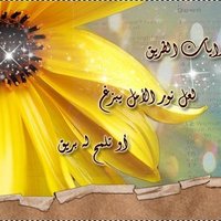 sohadorh (@sohadorh) 's Twitter Profile