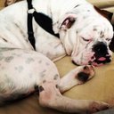 Melody Chavez-Arias - @Mel_genius - Twitter