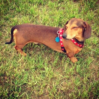 trying2coupon's profile picture. Just a coupon noob trying to save a buck.