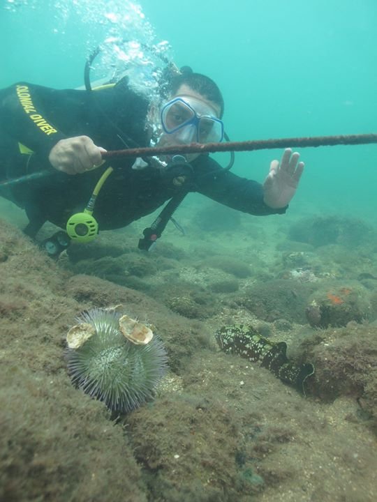 amaro_franca's profile picture. 