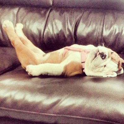 eduardosabio9's profile picture. 