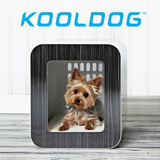 Modern Living for Modern Dog!