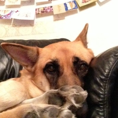 HdRuinz's profile picture. I'm da boss don't think I'm not :)