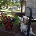 susan lockley - @slockl - Twitter