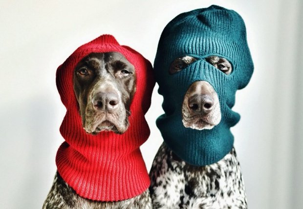 4076johndoe's profile picture. 